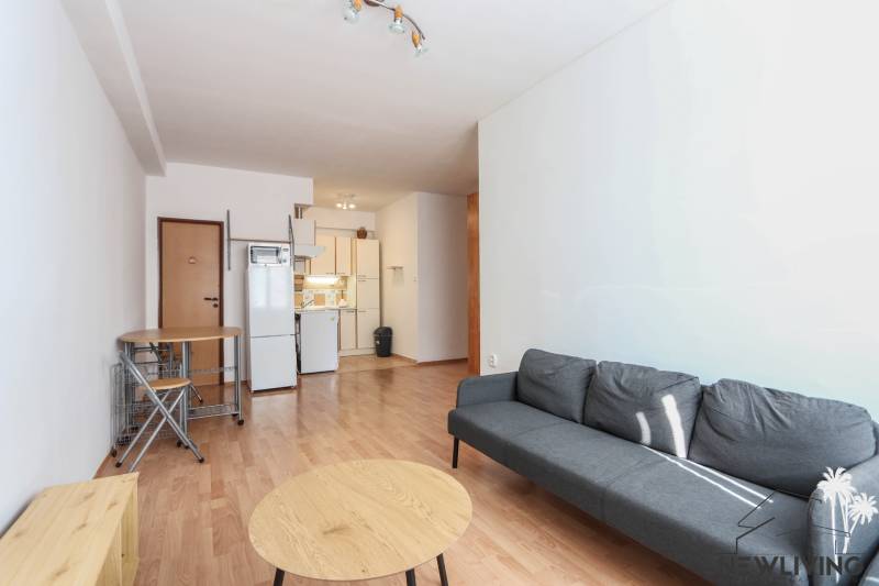 Living room in a 2-room apartment with a wooden decor floor and a gray sofa.