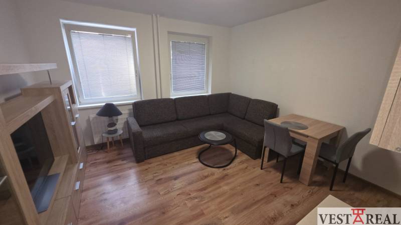 Living room in a studio apartment with wood-patterned flooring, a sofa, and a dining table.
