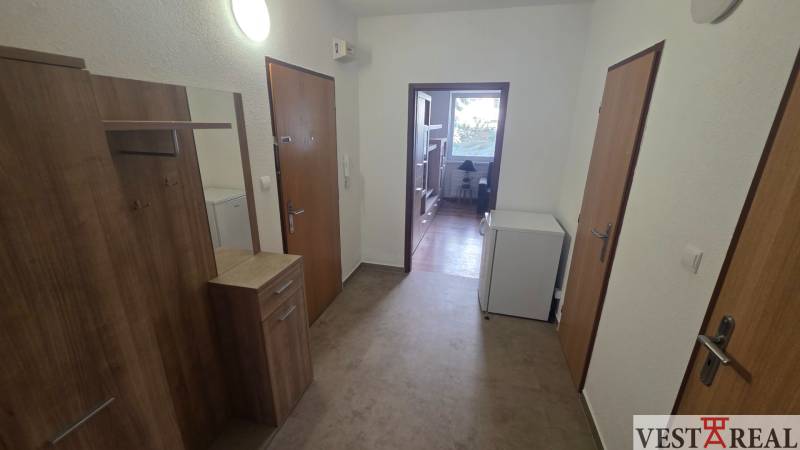 Entrance hall and corridor in a one-room apartment with a wood-patterned floor.