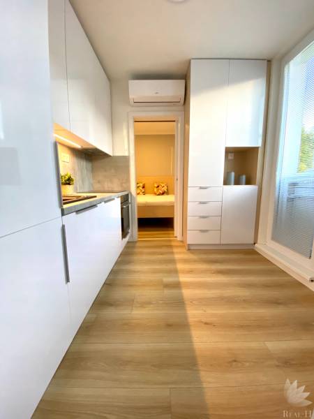 Bright kitchen in a two-room apartment with a wood-patterned floor and white cabinets.