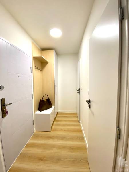 A hallway with a wooden decor floor, a cabinet, and a coat rack in a two-room apartment.