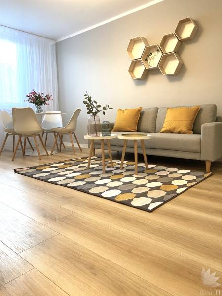 2-room apartment with wood-patterned flooring, a sofa, a dining table, and geometric shelves.
