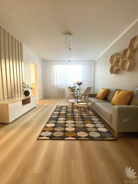Living room in a two-room apartment with a wooden-patterned floor and a patterned carpet.