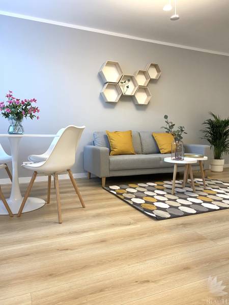 Living room of a two-room apartment with a wooden decor floor, gray sofa, and decorative hexagons.