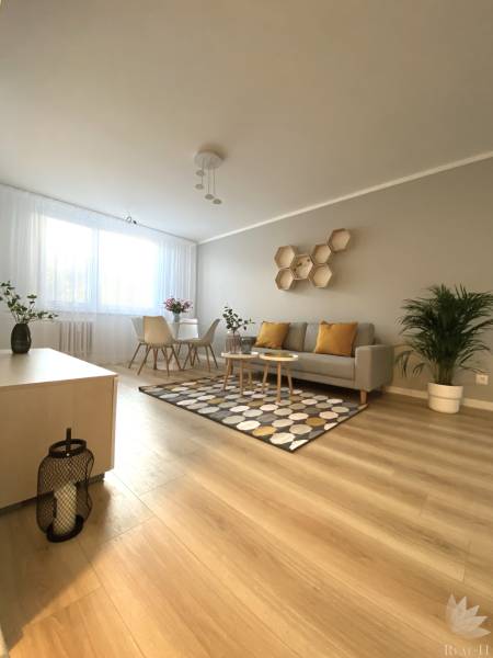 Living room in a two-room apartment with a sofa, carpet, and wooden decor flooring.