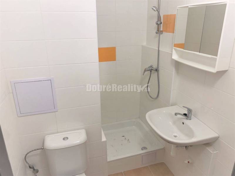 Compact bathroom with a shower, sink, and toilet in a studio apartment.