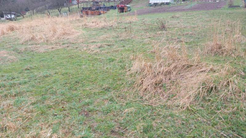 Recreational plots in Púchov with grassy areas and dry vegetation.