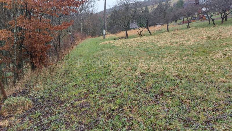 Natural scenery with grassy land and trees on recreational plots in Púchov.