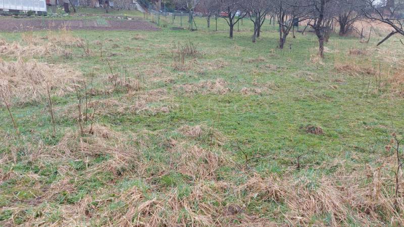 Greenery and trees on recreational lands in Púchov during autumn.