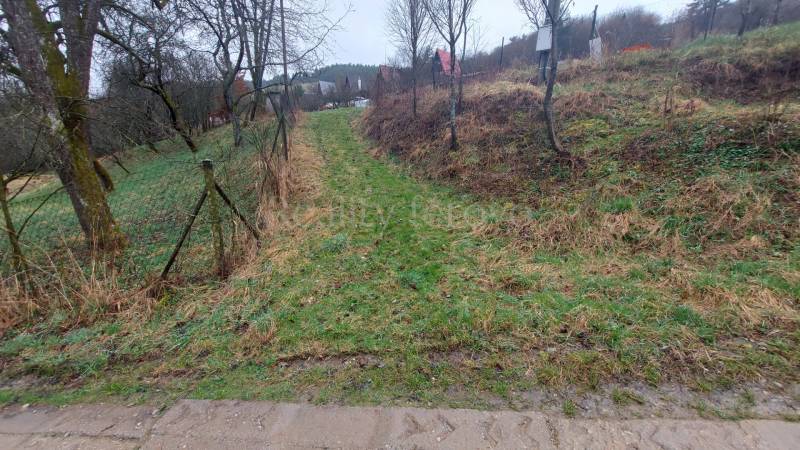 Greenery and trees on recreational lands in Púchov, ideal for hiking and relaxation.