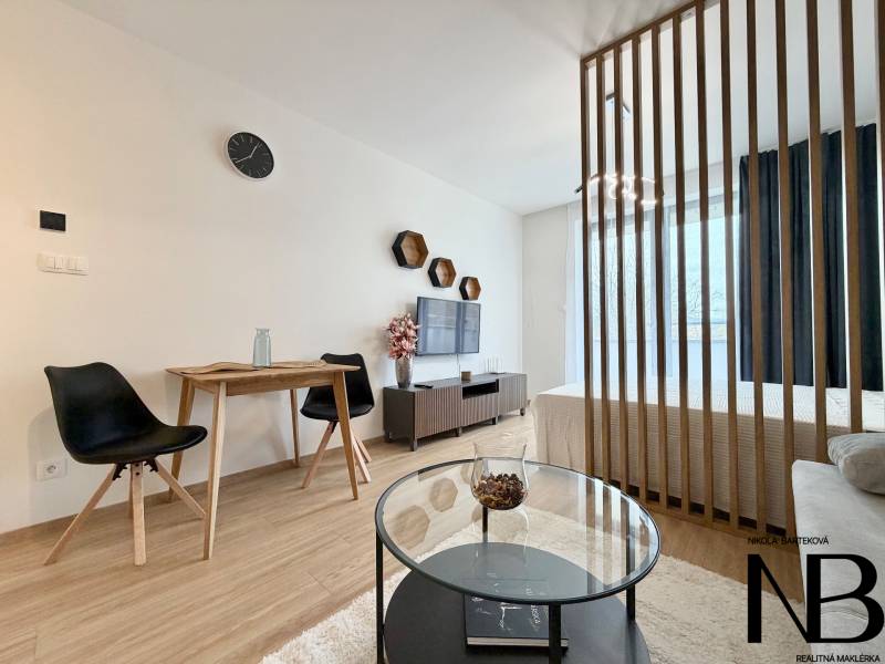 A one-bedroom apartment with a wood-patterned floor, a partition wall, and a television.
