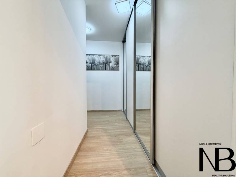 A hallway with a wooden decor floor and a built-in wardrobe in a studio apartment.
