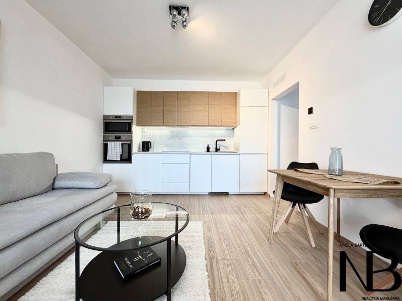1-bedroom apartment with wood-patterned flooring, a kitchen unit, and a gray sofa.