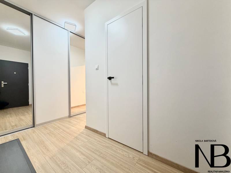 Entrance hall of a one-room apartment with wood-patterned flooring and a built-in wardrobe.