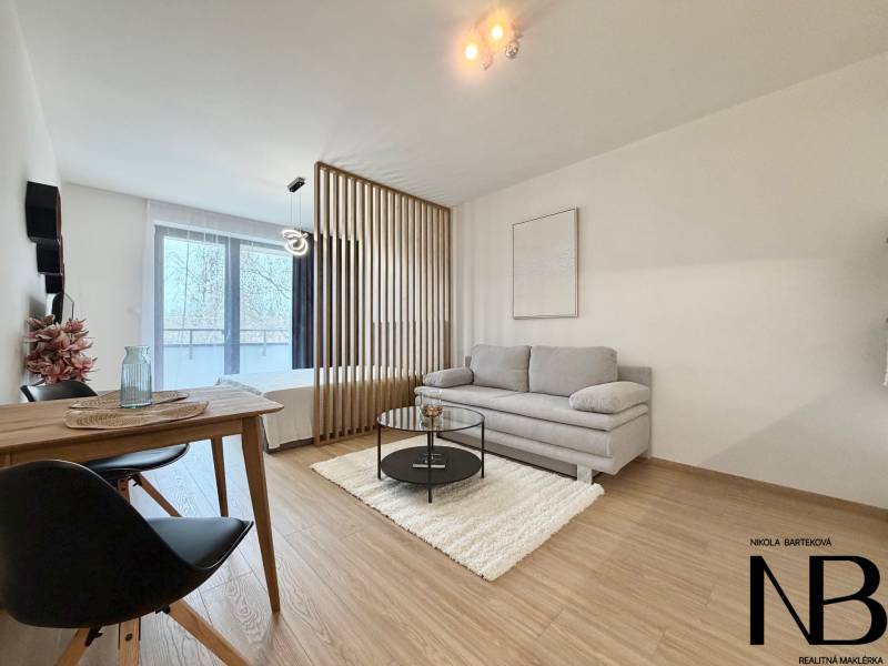 Living room with a sofa and a dining table, wooden decor flooring, studio apartment.