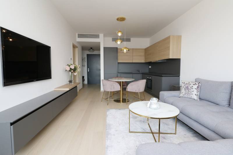 2-room apartment with wood-patterned flooring, gray sofa, and minimalist kitchen.