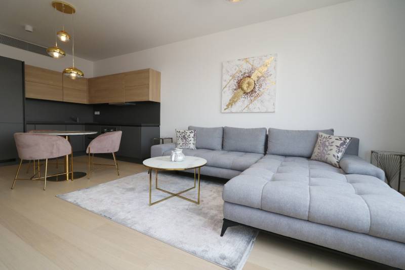 Stylish living room with a sofa and kitchen in a two-room apartment.