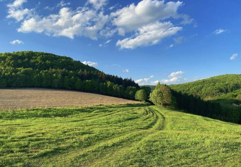 Beautiful green agricultural and forest lands in Dolné Kočkovce under a clear blue sky.