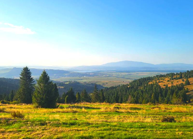 Zábiedovo: Agricultural and forest lands with trees and expansive meadows against a backdrop of hills.