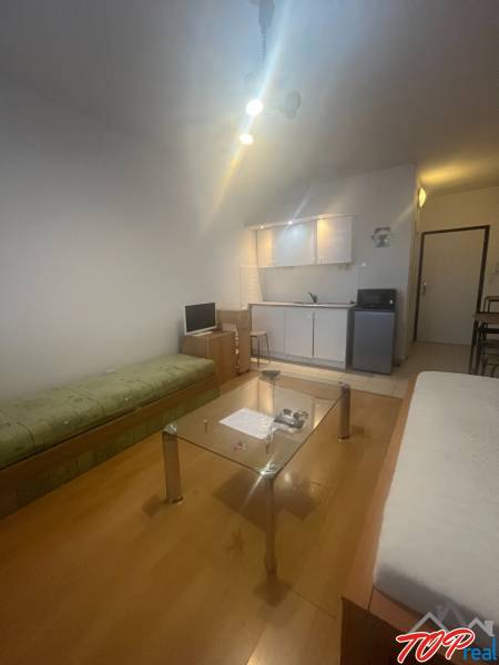 Studio apartment with a sofa, glass table, and kitchenette. Floor with wood decor.