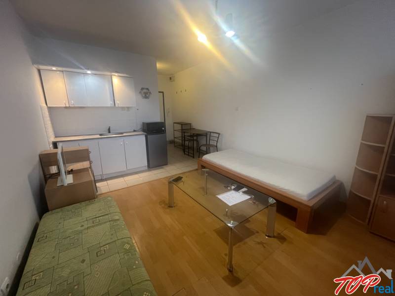 Studio apartment with a kitchenette, sofa, bed, and wood-patterned flooring.