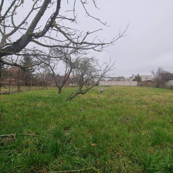 A garden with a lawn and trees in the exterior of a family house in Malé Leváre.