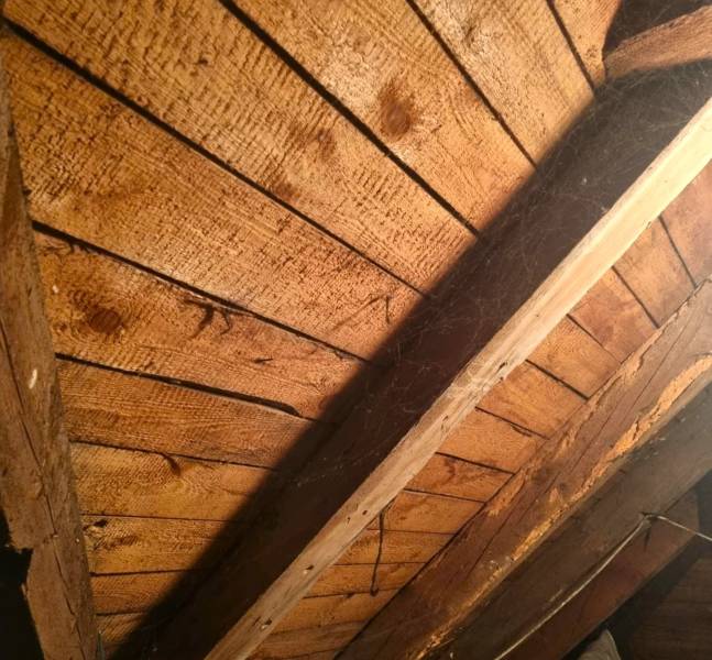 A wooden roof truss in the attic of a family house in Malé Leváre, with cobwebs.