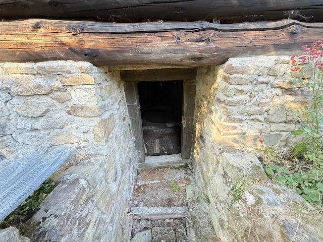 Stone entrance to the cellar under the cottage in Horná Mariková.