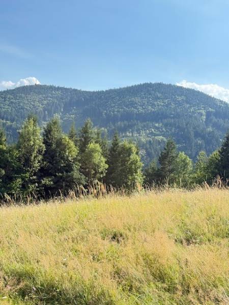 Mountain landscape near Horná Mariková with forests and a meadow under a sunny sky.