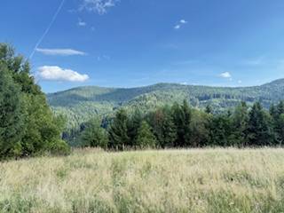 Mountain landscape near Horná Mariková with a meadow and forests under a blue sky.