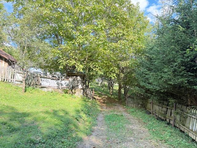 The path to the cottage in Horná Mariková lined with trees and a fence.