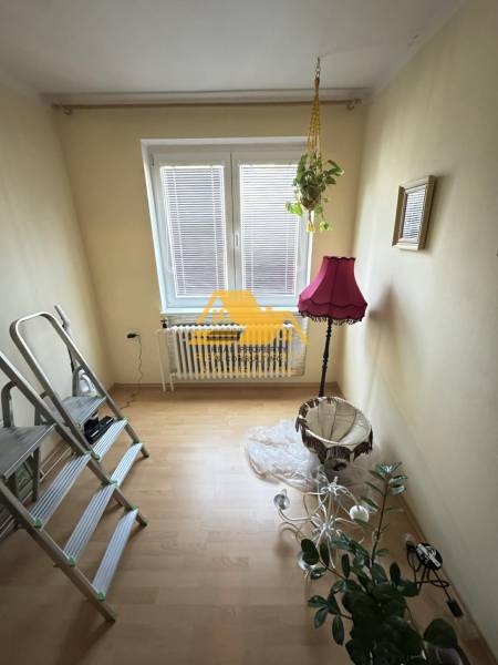 A room with a wooden floor, a plant, and a pink lamp.