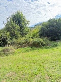 Greenery and trees on the property of a family house in Krivosúd-Bodovka.