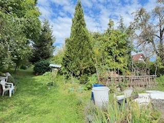 A garden at a family house on Krivosúd - Bodovka street in Krivosúd-Bodovka with lots of greenery.