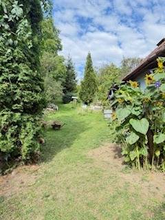A garden behind a family house in Krivosúd-Bodovka with blooming plants and greenery.