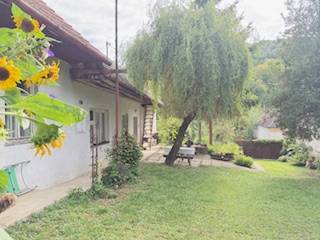 A family house in Krivosúd-Bodovka with a landscaped garden and a bench under a tree.