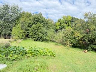 The garden of a family house in Krivosúd-Bodovka, surrounded by greenery and trees.