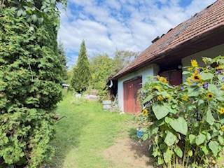 A family house in Krivosúd-Bodovka with red doors and sunflowers in the garden.