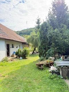 A garden by a family house in Krivosúd-Bodovka surrounded by greenery and trees.