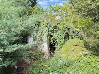 Overgrown entrance to an abandoned family house in the village of Krivosúd-Bodovka, Krivosúd - Bodovka.