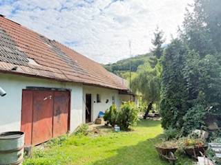 The courtyard of a family house in Krivosúd-Bodovka with a garage and a garden full of vegetation.