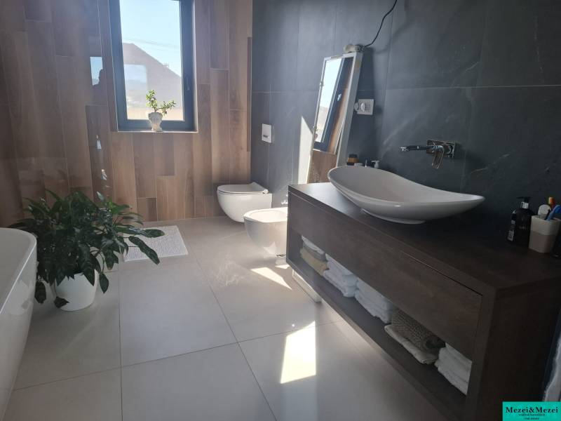 A bathroom in a family house with a bathtub, sink, bidet, and decorative greenery.