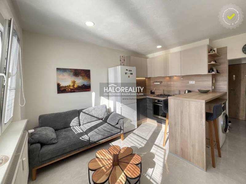 Living area of a studio apartment with a kitchen and a sofa, floor with wood decor.