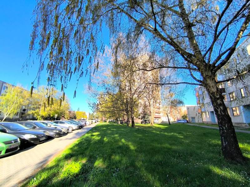 Trees by the street Veľká Okružná in Partizánske in front of a 3-room apartment, cars parked along the road.