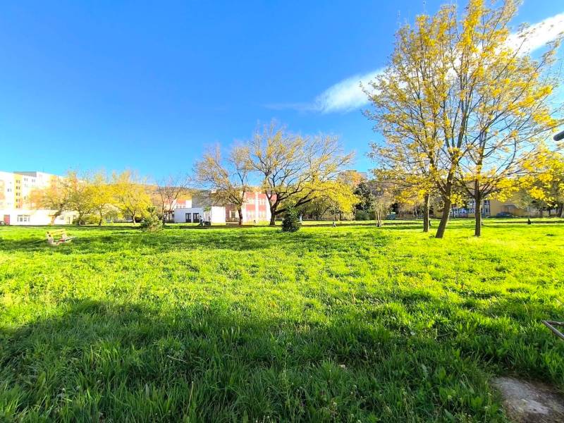 A park with a grassy area and trees in the town of Partizánske on Veľká Okružná.