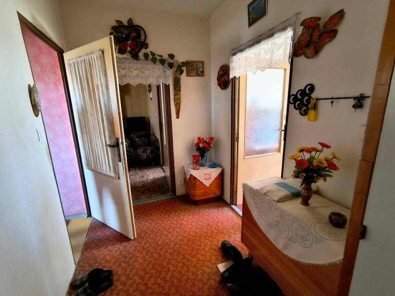 The entrance hall of a three-room apartment with carpet, furniture, and flowers for decoration.