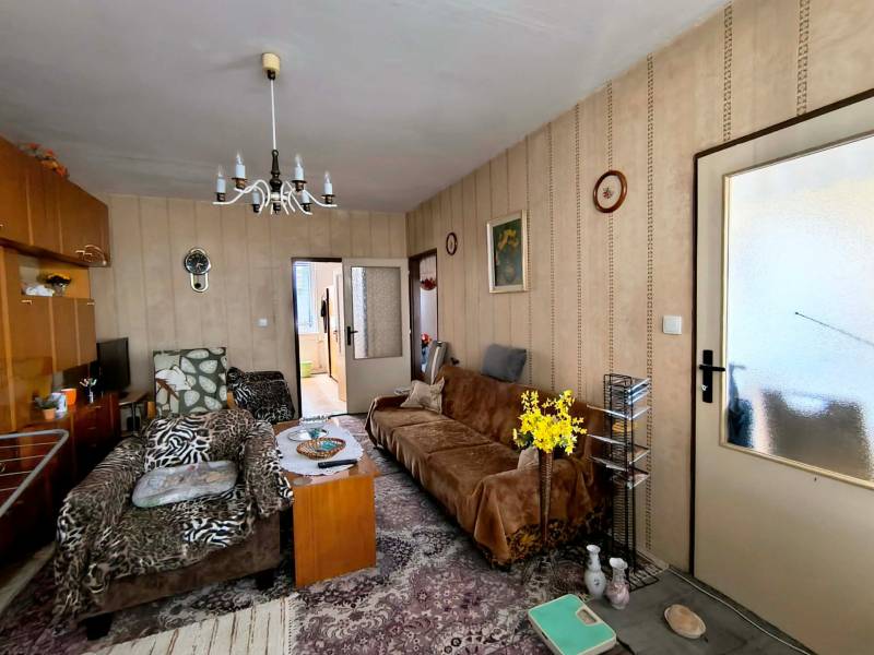Living room in a 3-room apartment with armchairs, flowers, and a vintage chandelier.