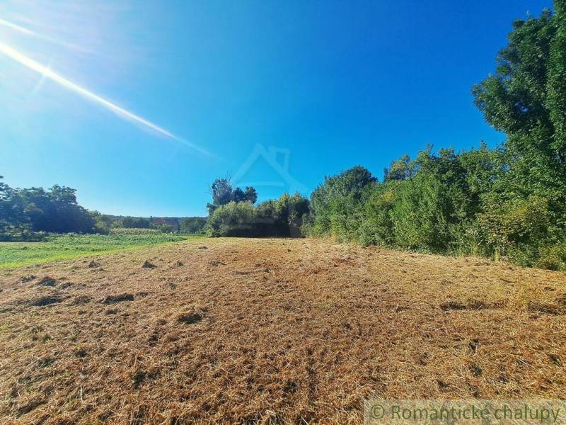 Greenery and meadow on a residential plot in Hosťová under the blue sky.