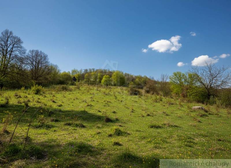 Green slope with scattered trees and blue sky around Krupina, ideal for residential plots.