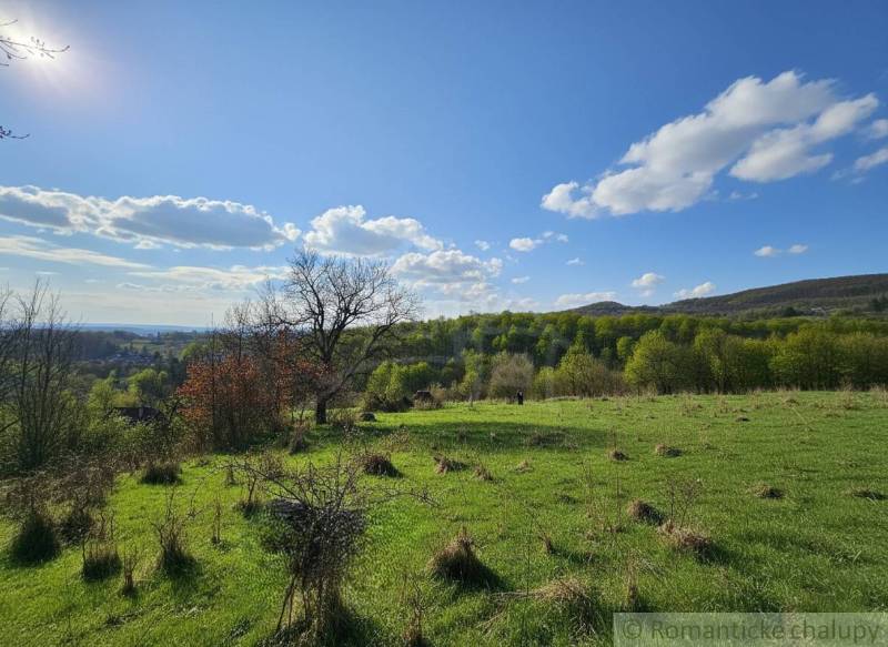 Land in Krupina with meadows and trees, suitable for residential plots.